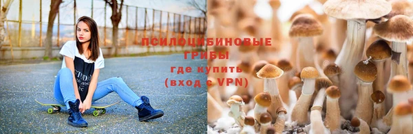 сатива Богородск